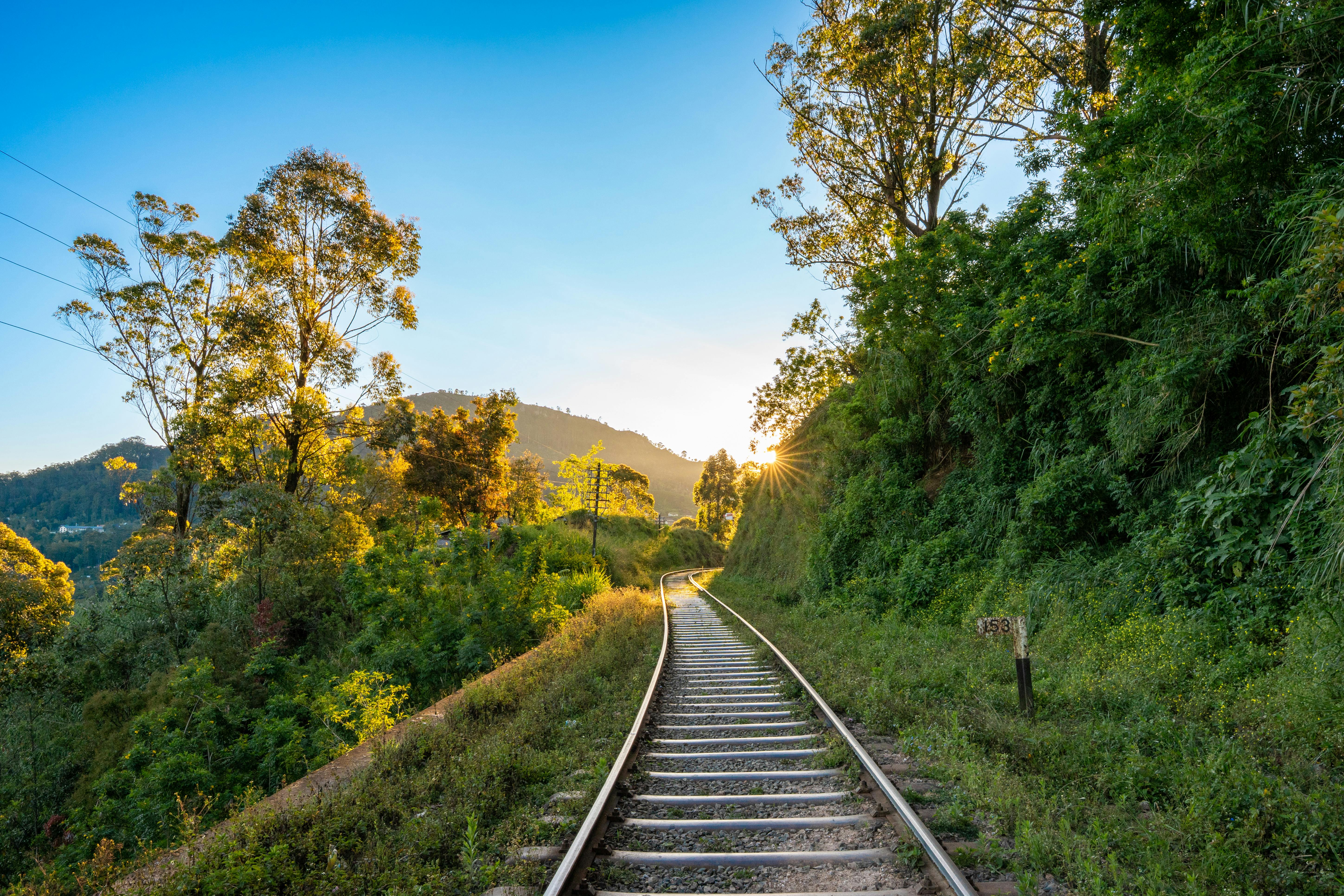 10 Day Sri Lanka Itinerary for First-Time Visitors – The Ultimate Travel Guide